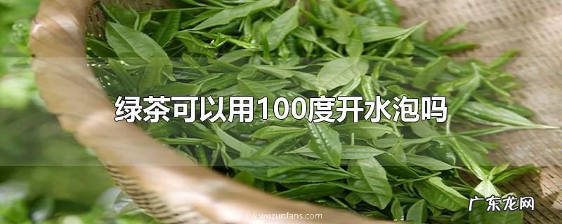 绿茶可以用100度开水泡吗