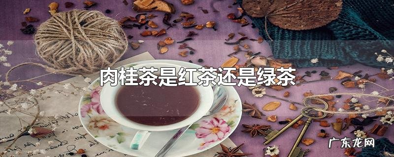 肉桂茶是红茶还是绿茶