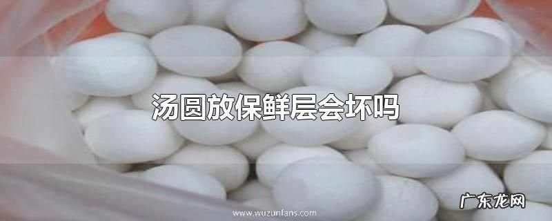 汤圆放保鲜层会坏吗