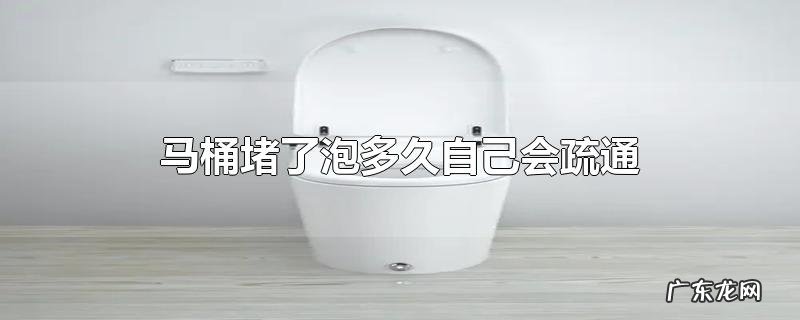 马桶堵了泡多久自己会疏通