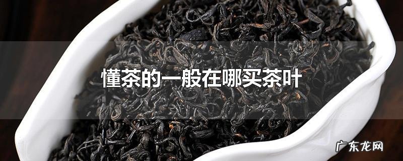懂茶的一般在哪买茶叶
