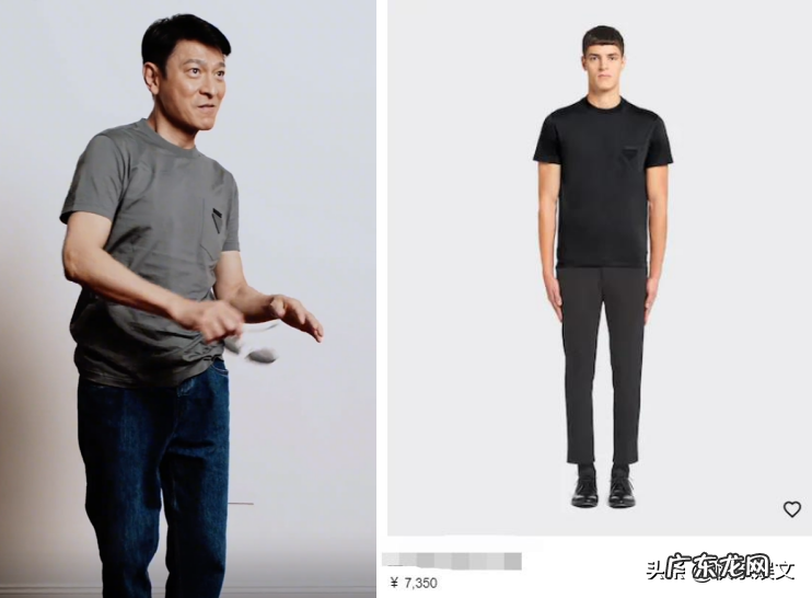 刘德华多大岁数?属什么