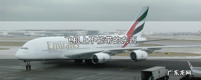 飞机上不能带的东西