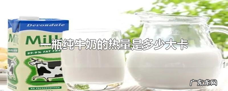 一瓶纯牛奶的热量是多少大卡