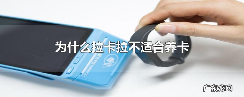 为什么拉卡拉不适合养卡