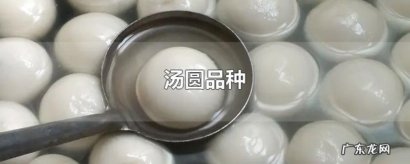 汤圆品种