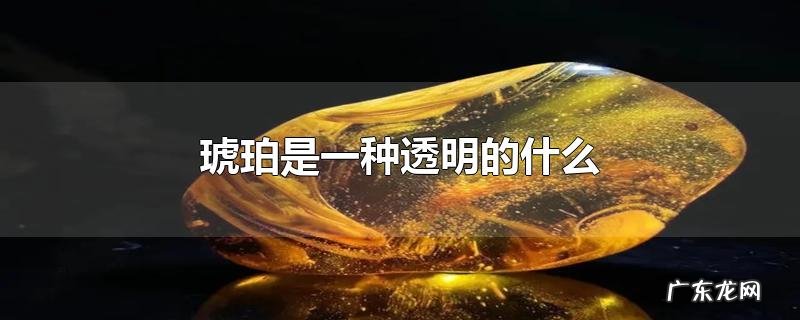 琥珀是一种透明的什么