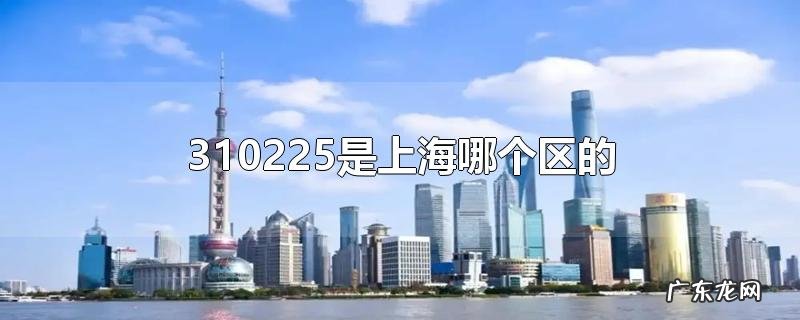 310225是上海哪个区的