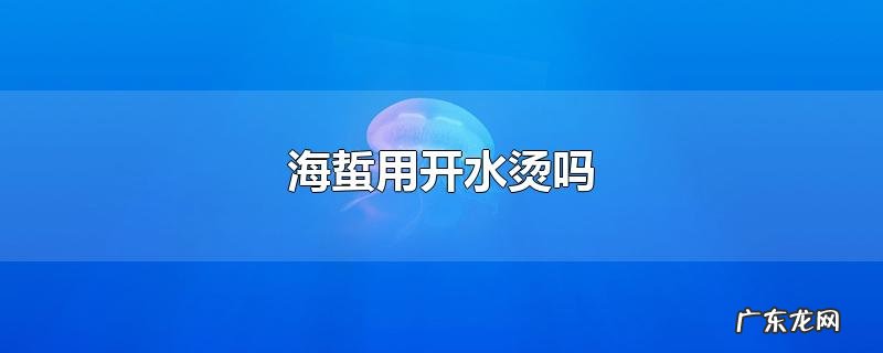 海蜇用开水烫吗