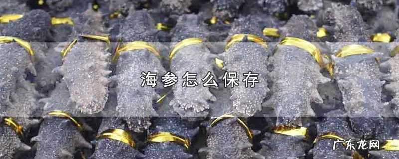 海参怎么保存