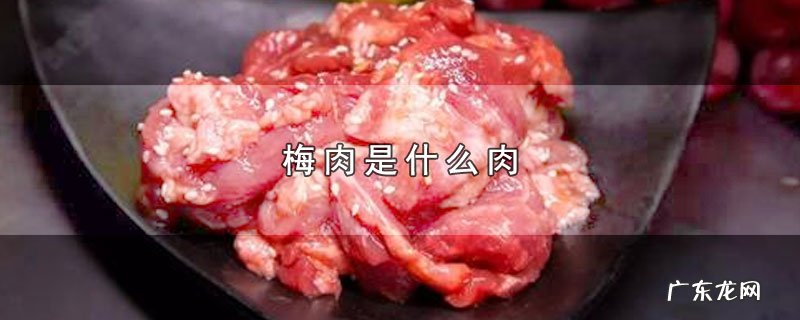 梅肉是什么肉