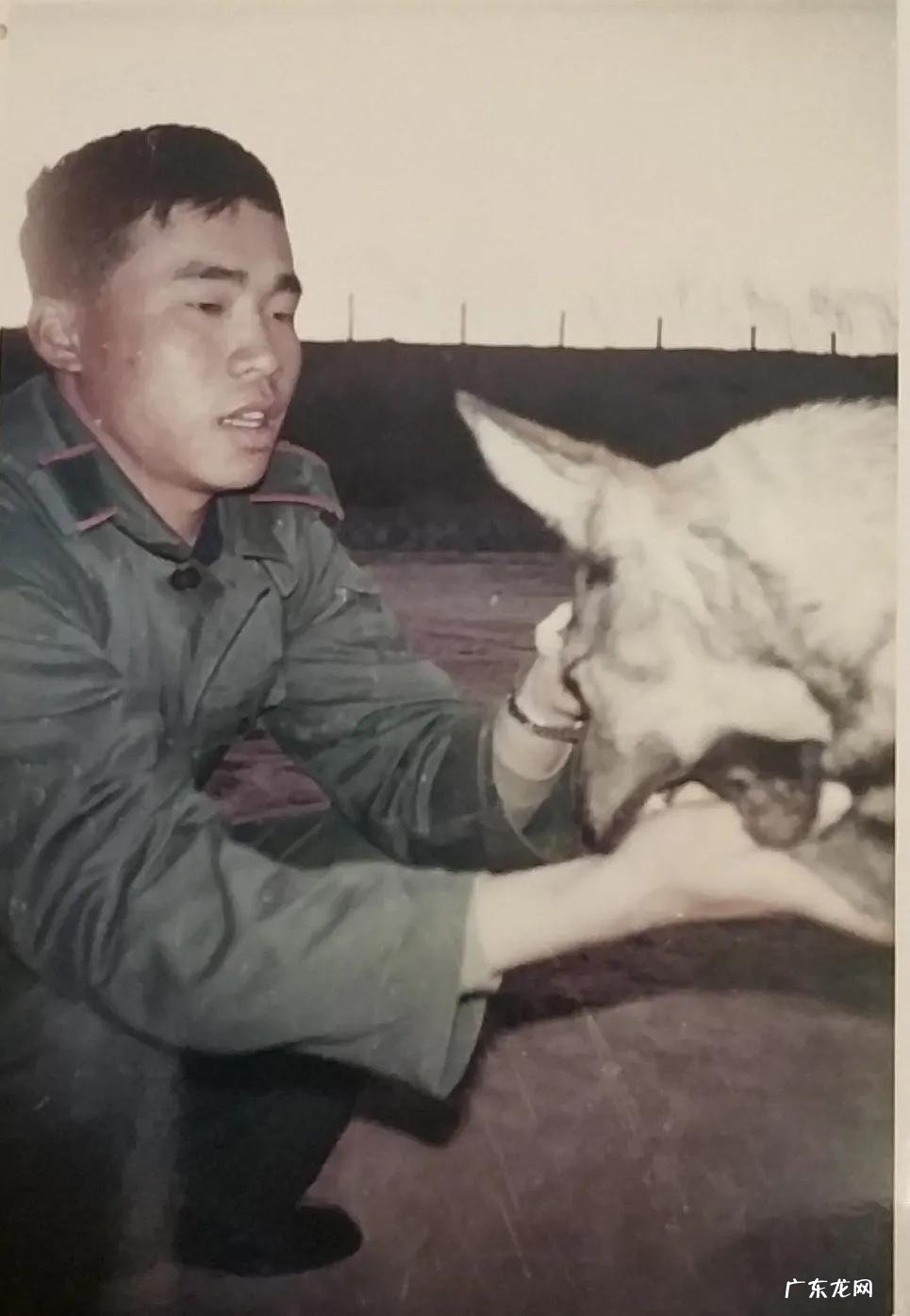 请问桃花是什么季节开的