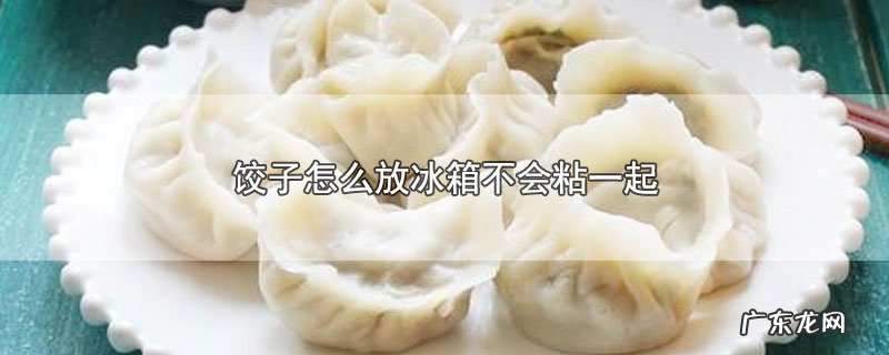 饺子怎么放冰箱不会粘一起