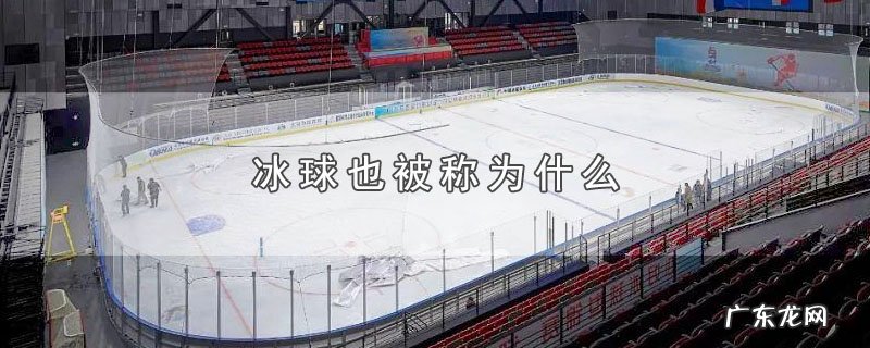 冰球也被称为什么