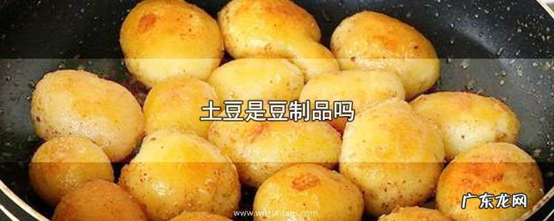土豆是豆制品吗