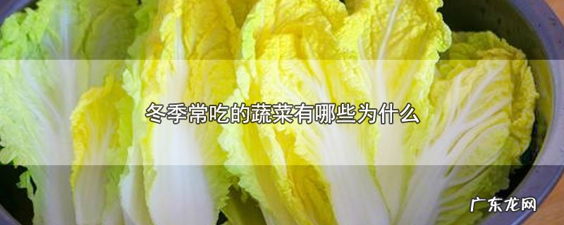 冬季常吃的蔬菜有哪些为什么