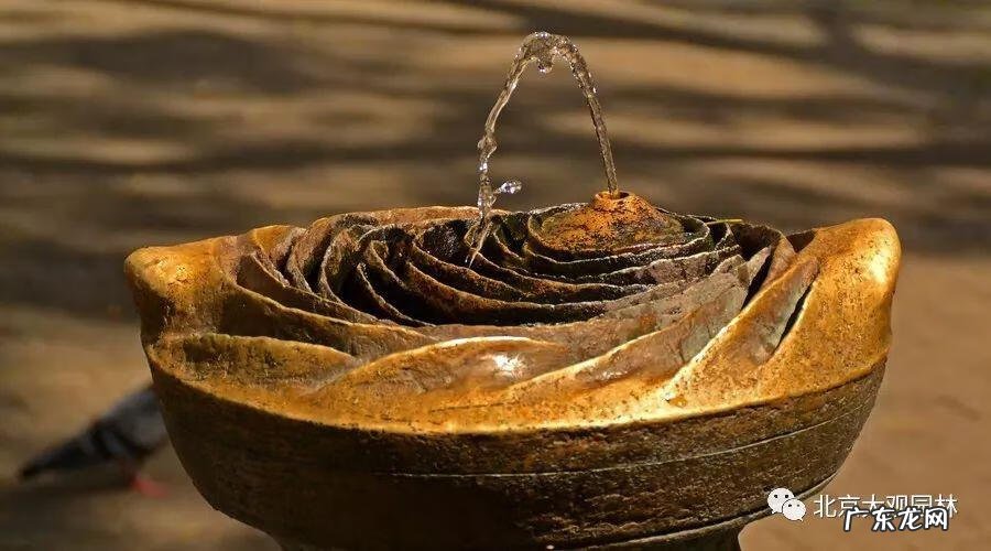 家常鸡汤图片大全 风水鸡汤图片大全大图