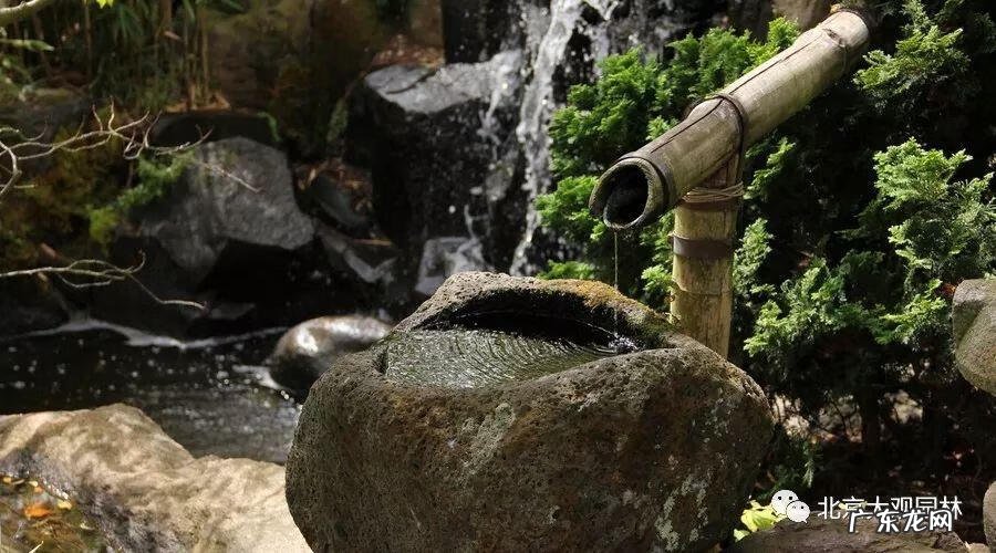 家常鸡汤图片大全 风水鸡汤图片大全大图