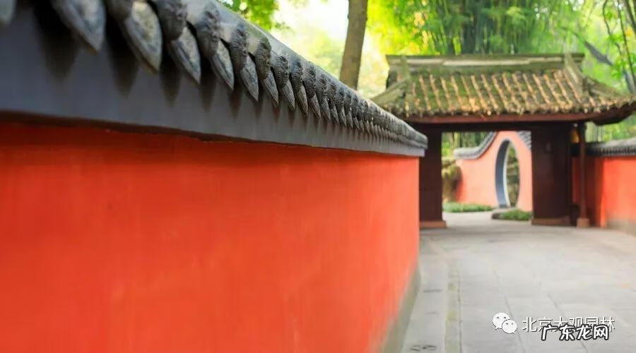 家常鸡汤图片大全 风水鸡汤图片大全大图