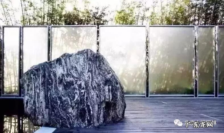 家常鸡汤图片大全 风水鸡汤图片大全大图