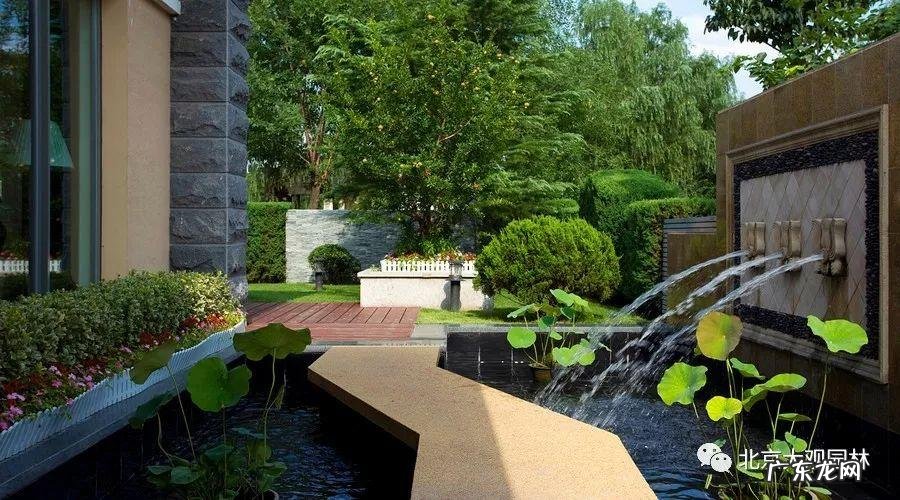 家常鸡汤图片大全 风水鸡汤图片大全大图