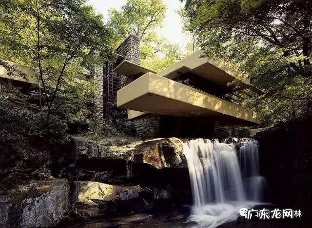 家常鸡汤图片大全 风水鸡汤图片大全大图