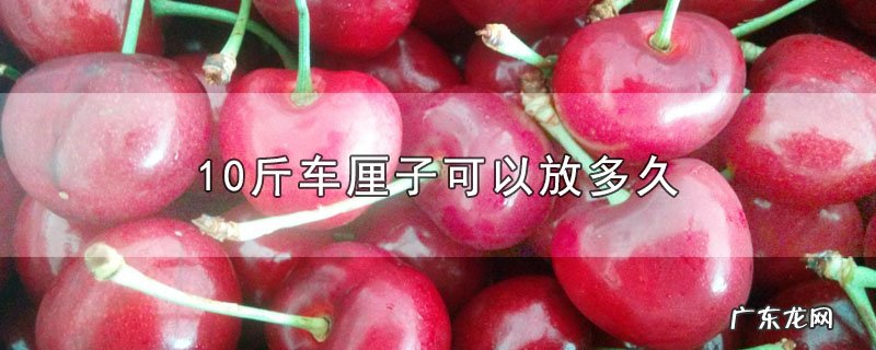 10斤车厘子可以放多久