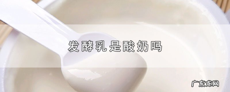 发酵乳是酸奶吗