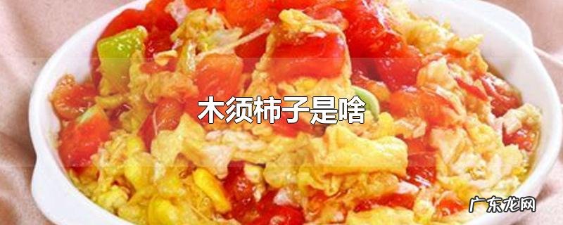 木须柿子是啥