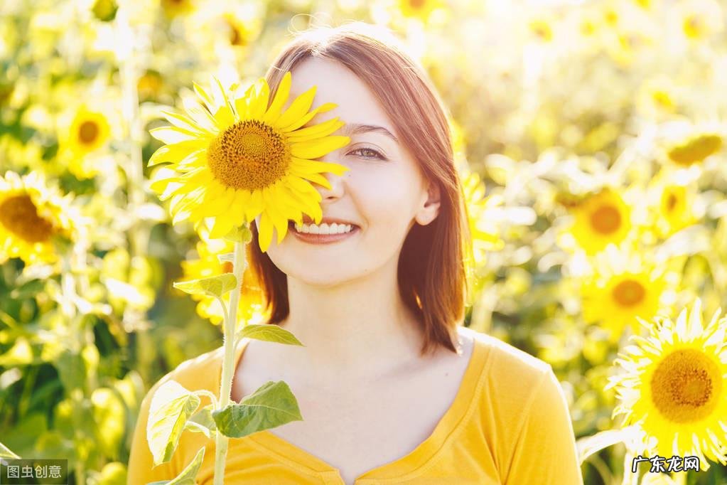 发财树的风水 发财树与风水