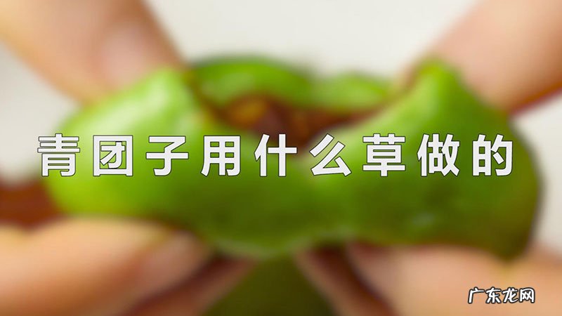 青团子用什么草做的
