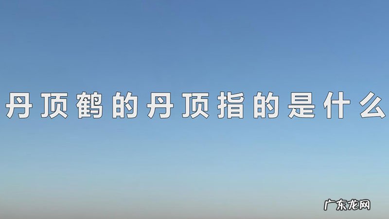 丹顶鹤的丹顶指的是什么