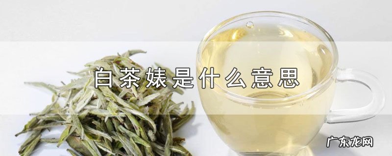 白茶婊是什么意思