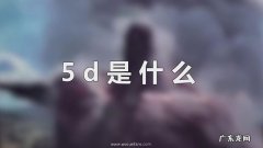 5d是什么