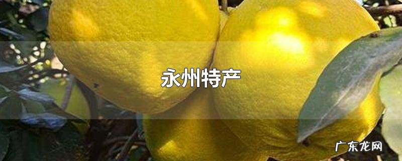 永州特产