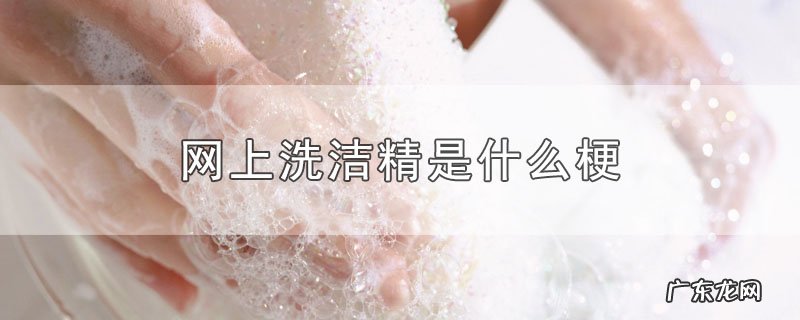 网上洗洁精是什么梗