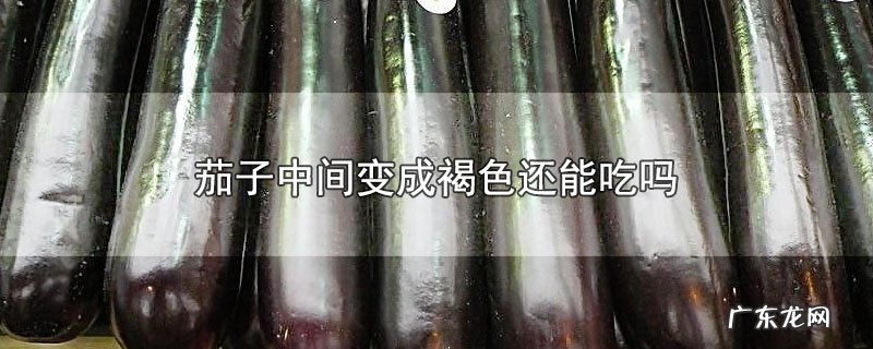 茄子中间变成褐色还能吃吗