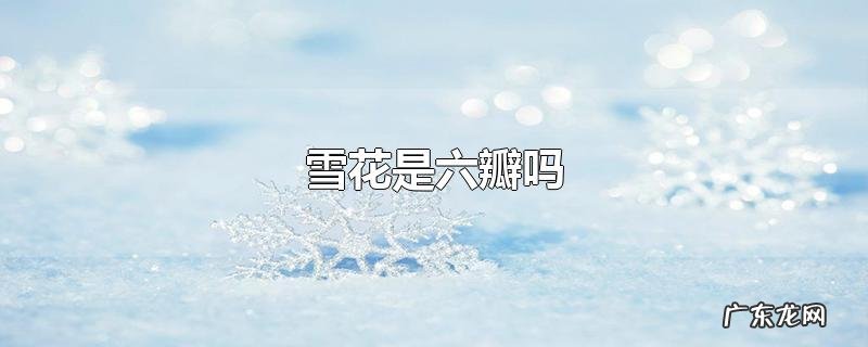雪花是六瓣吗