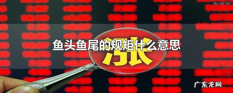 鱼头鱼尾的规矩什么意思