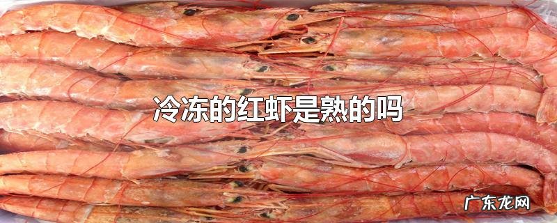冷冻的红虾是熟的吗