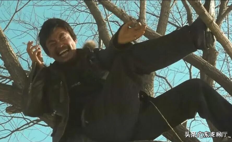 村里的古树与风水 树先生给村里看风水好吗