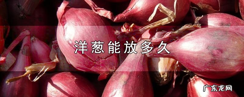 洋葱能放多久