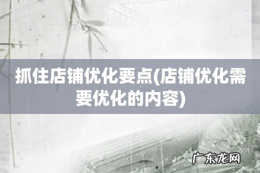 店铺优化需要优化的内容 抓住店铺优化要点