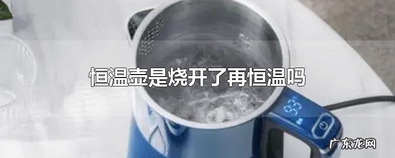 恒温壶是烧开了再恒温吗