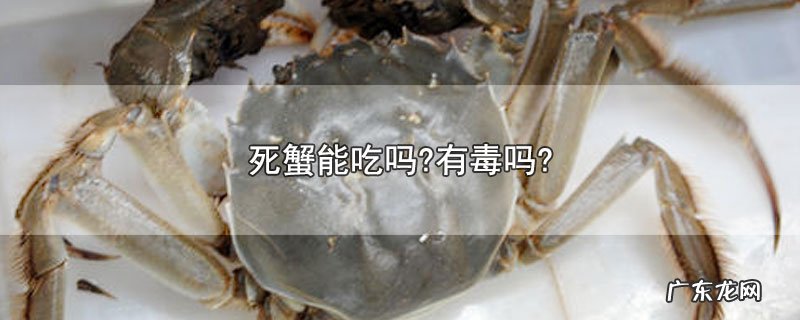 死蟹能吃吗?有毒吗?