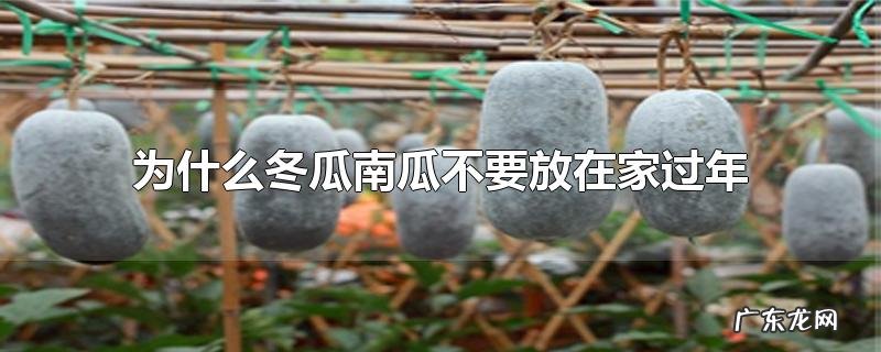 为什么冬瓜南瓜不要放在家过年