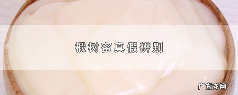 椴树蜜真假辨别