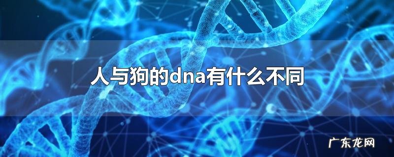 人与狗的dna有什么不同