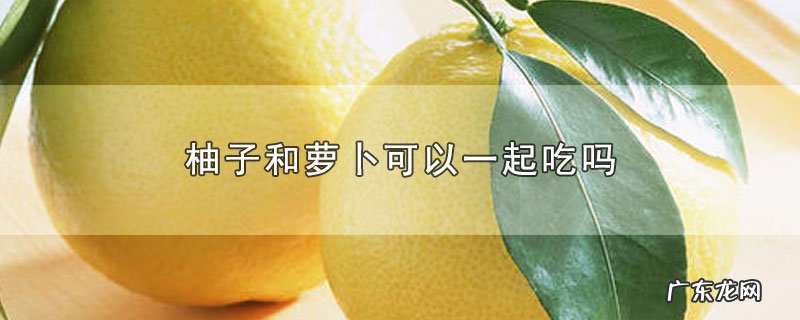 柚子和萝卜可以一起吃吗