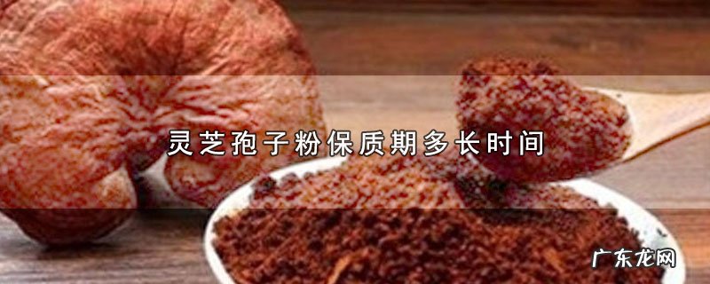 灵芝孢子粉保质期多长时间